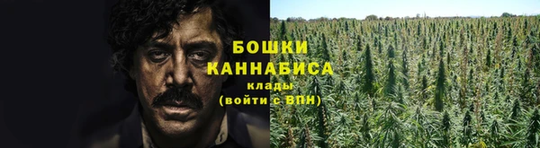 индика Бронницы