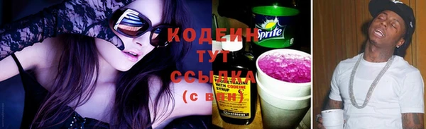 индика Бронницы