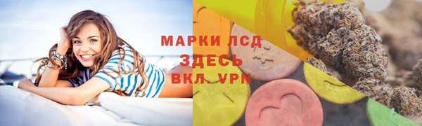 индика Бронницы
