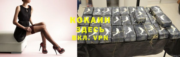индика Бронницы