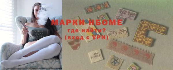 индика Бронницы