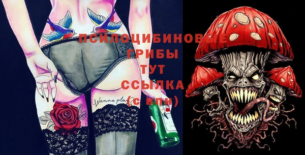 индика Бронницы