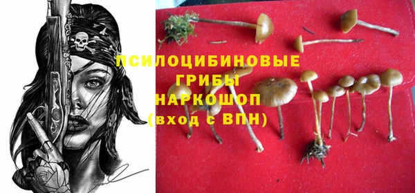 шишки Бугульма