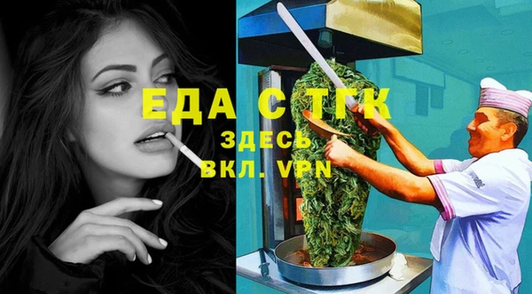 индика Бронницы