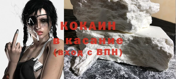 индика Бронницы