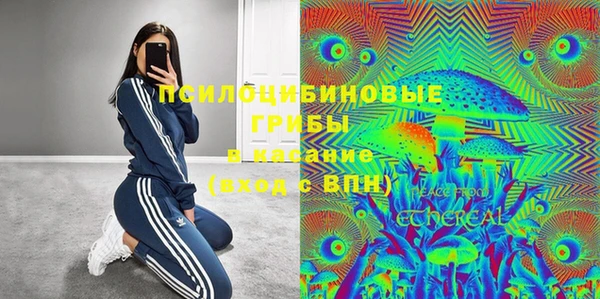 индика Бронницы