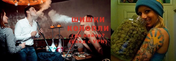 индика Бронницы